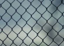 carbon-steel-hexagonal-wire-mesh-manufacturer